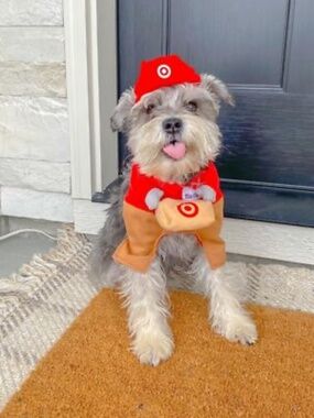 Medium Dog Cat Target Employee Halloween Costume